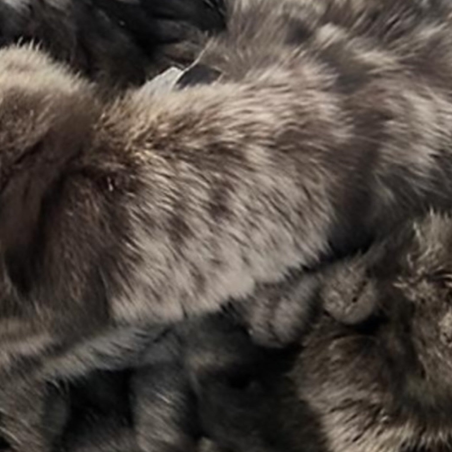 Rex Rabbit Knit Headband